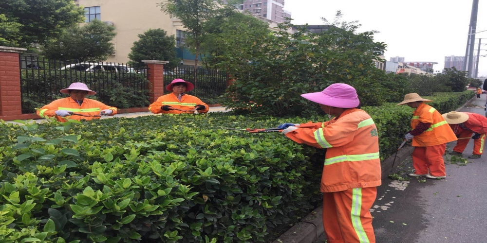 新站區(qū)道路清掃保潔、綠化管養(yǎng)項目